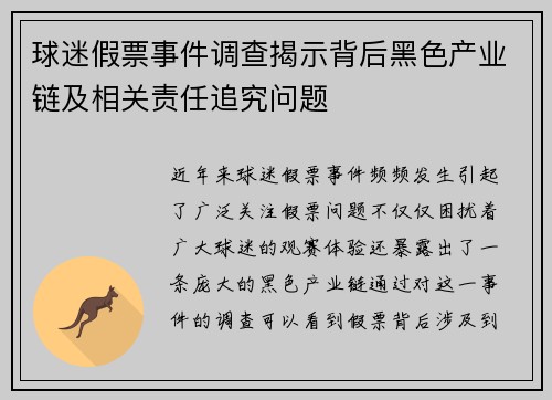 球迷假票事件调查揭示背后黑色产业链及相关责任追究问题
